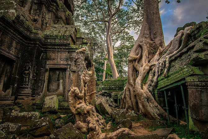 1-Day Amazing Angkor Wat Tour with Sunset & All Interesting Major Temples - Ta Prohm and the famous tree roots