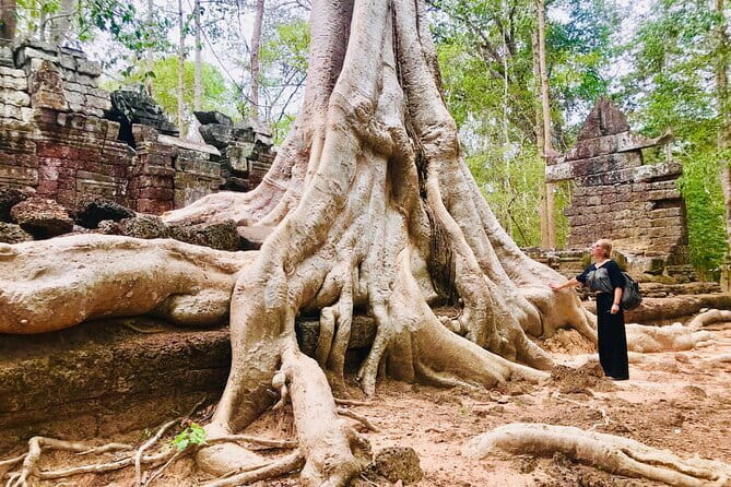 1-Day Angkor Wat Cycling Tour: Scenic Bike Adventure in Siem Reap - Ta Nei, the quietest temple on the route