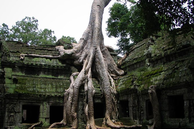 1-Day Angkor Wat Sunrise & All Interesting Temples Private Tour - Ta Nei offers a quieter change of pace