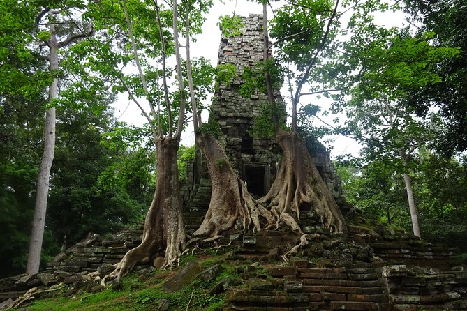 1-Day Angkor Wat Sunrise & All Interesting Temples Private Tour - Angkor Thom brings four major sights together
