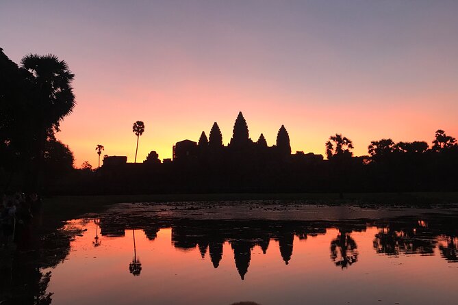 1 Day | Angkor Wat Sunrise with Small Tour - Ta Prohm, where trees claim the ruins
