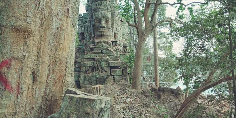 1-Day private Angkor Temple Tour from Siem Reap - Ta Prohm: the day’s atmospheric finish