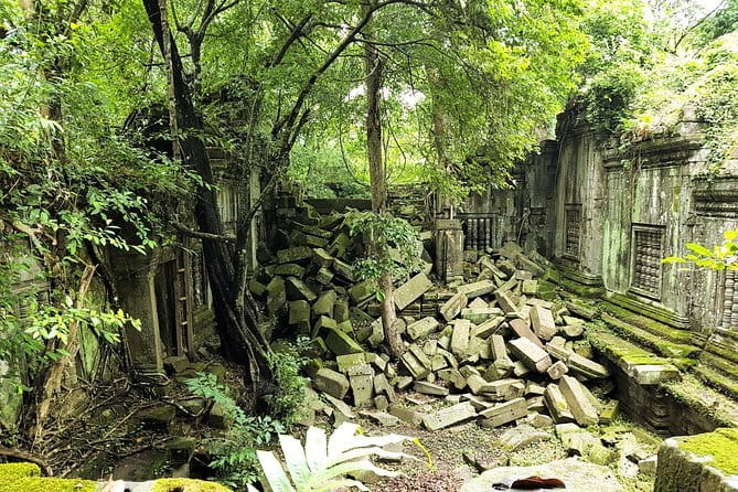 1 day special Tour: Angkor Wat,Bayon,Ta Prohm, Bantey srei and Beng Mealea - Key points to know before booking