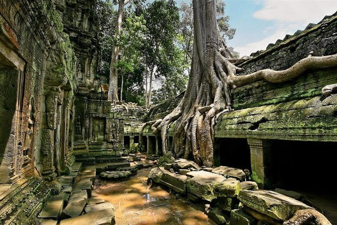 1 day special Tour: Angkor Wat,Bayon,Ta Prohm, Bantey srei and Beng Mealea - Angkor Wat: begin with the great masterpiece