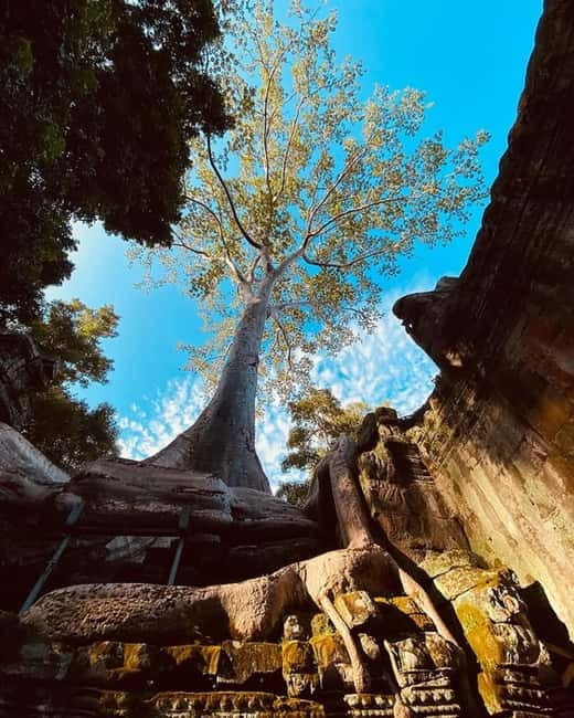 1-Day Trip to Angkor Wat with a Private or Shared Guide in Spanish - Tuk-tuk or air-conditioned van