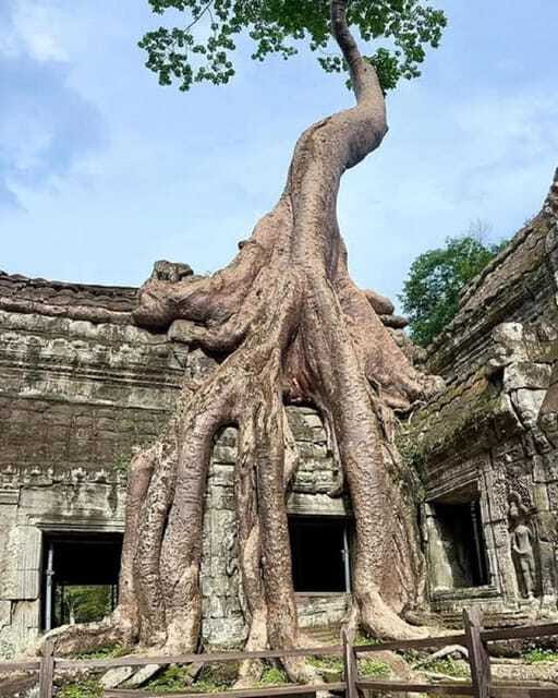 1-Day Trip to Angkor Wat with a Private or Shared Guide in Spanish - Two hours at Angkor Wat