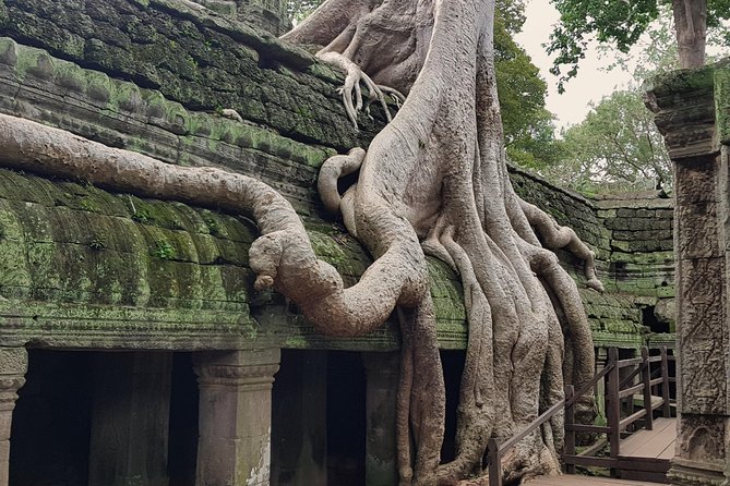 1day Private tour, Angkor sunrise,all main temples, Banteay srei - What the private guide changes