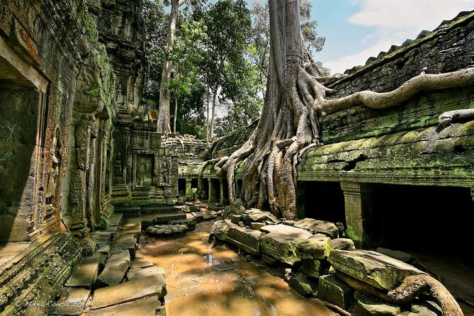 1day private tour to all majestic Temples in Angkor and Sunset - Bayon and its stone faces