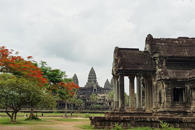1day private tour to all majestic Temples in Angkor and Sunset - Ta Prohm and its tree roots