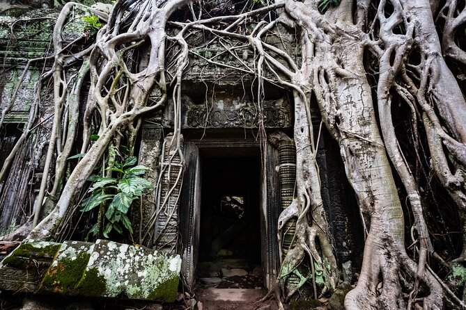 2-Day : Angkor Sunrise, Kompong Phluk Sunset & Banteay Srei Tour - Banteay Srei earns the long ride north