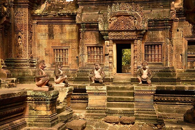 2-Day : Angkor Sunrise, Kompong Phluk Sunset & Banteay Srei Tour - Ta Prohm shows nature taking back the temple