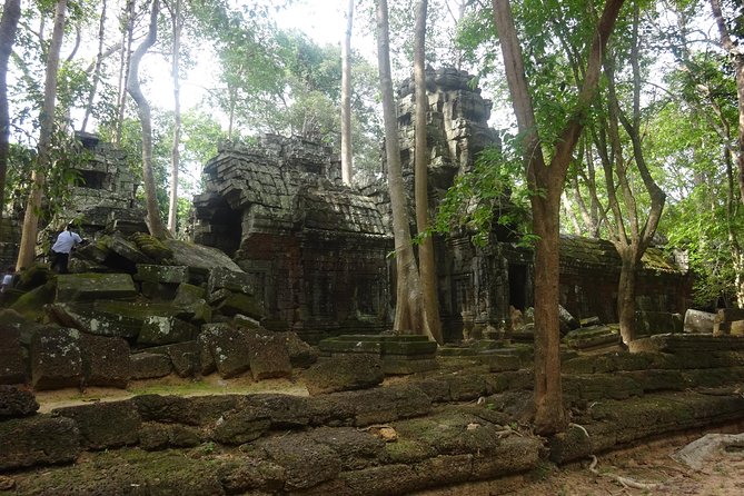 2-Day Angkor Wat With Small, Big Circuit and Banteay Srei Tour - Day two: sunrise, reservoirs, and quieter temples