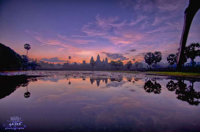 2-Day Angkor Wat With Small, Big Circuit & Banteay Srei Tour - Ta Prohm brings the jungle drama