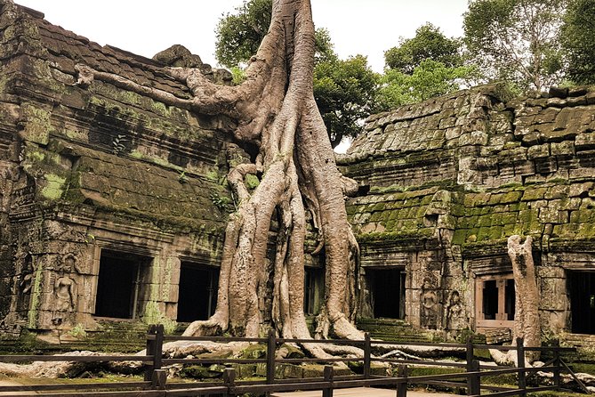 2-Days Private Tour in Angkor Sunrise, Banteay Srei and Beng Mealea Temple - Banteay Srei rewards the drive