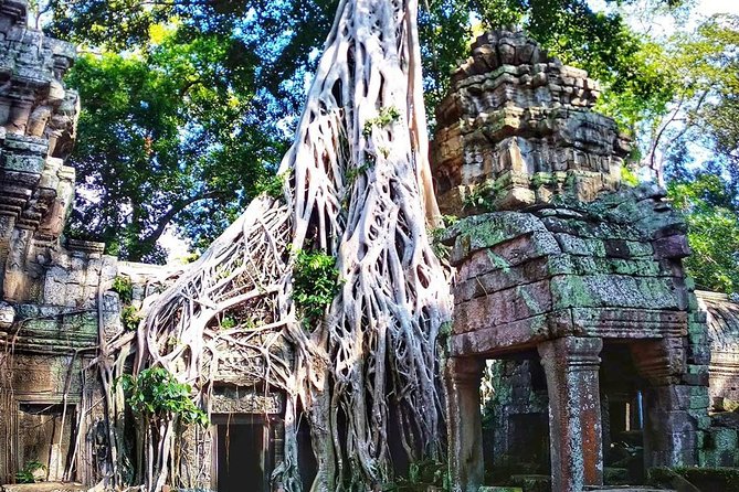 3-Day Tour(Unforgettable Angkor Temple Complex, Banteay Srei& Floating Village) - Day three: Banteay Srei and life on Tonle Sap
