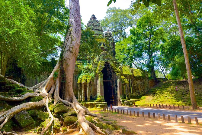 3 Days Siem Reap Explorer - Small Group - Day 3: Preah Khan, Neak Pean, Banteay Srei, and Pre Rup