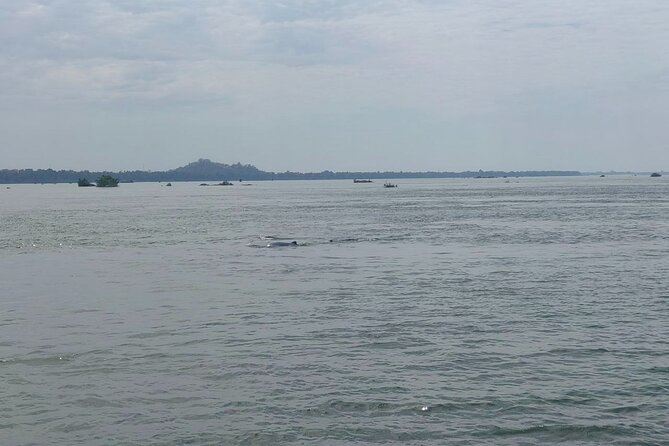 4 hours taking tuk tuk to see Mekong dolphins and countryside - Why the Mekong dolphin trip is worth considering