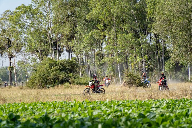 5 Days - Cambodia Ancient Trails & Jungle Temples - Day 4: Sambor Prei Kuk in the forest