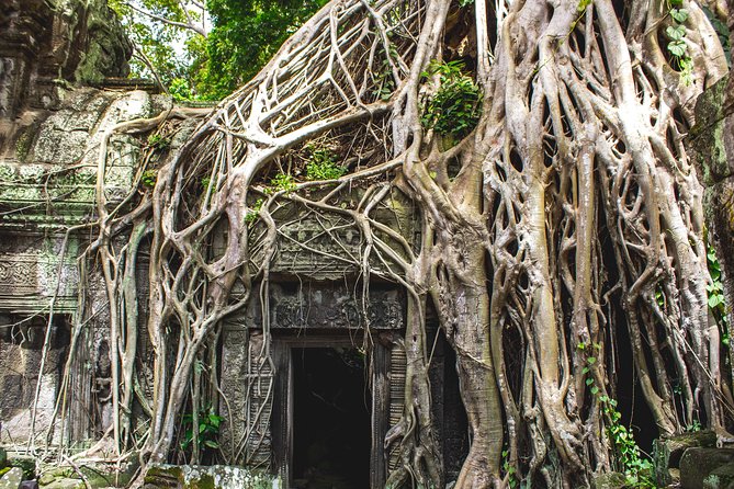 7-must See Temples in Angkor Park (Private Guided Tour) - Breakfast and coffee beside Srah Srang