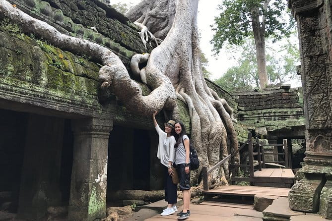 A Day Angkor Park Tours - Private English Speaking Tour Guide - What the private vehicle adds
