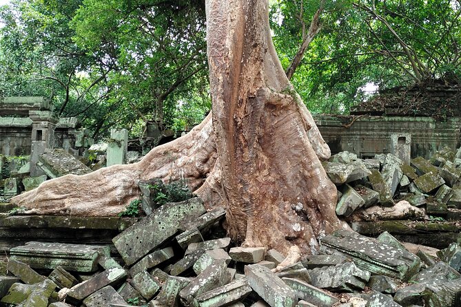 A Day Angkor Wat Sunrise Tour, Ta Prohm & Hidden Gems Beng Mealea - Ta Prohm and the Tomb Raider effect