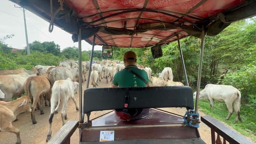 A day tour through Battambang/Local area and landmarks - Battambang city, old bridges, and everyday Cambodia