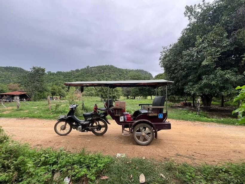 A day tour through Battambang/Local area and landmarks - Rice fields, lotus farms, and local fruit