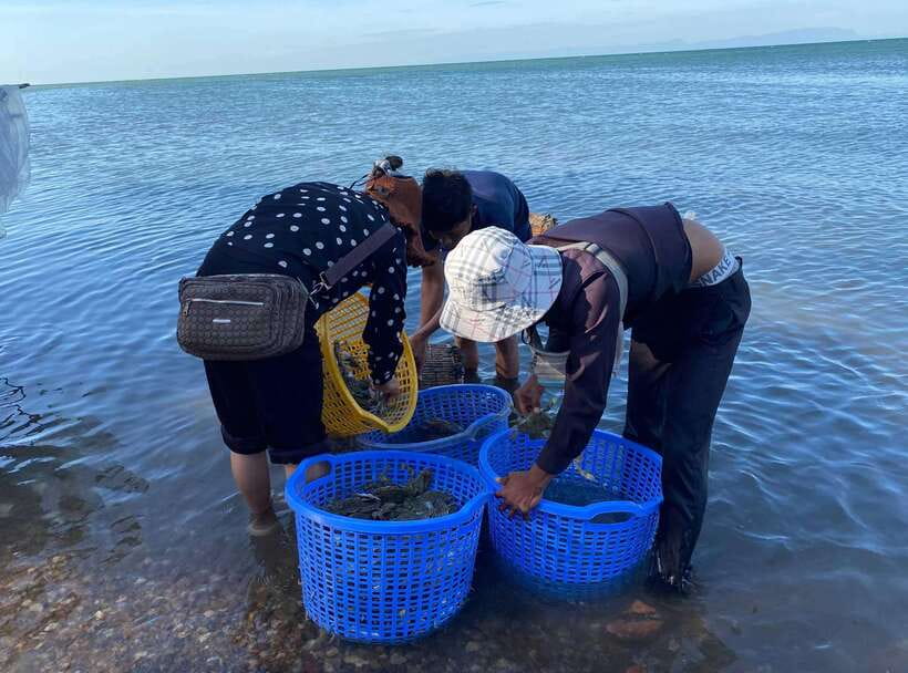 A Day Trip to Kep Beach and Kampot from Phnom Penh - Why this day trip covers southern Cambodia well