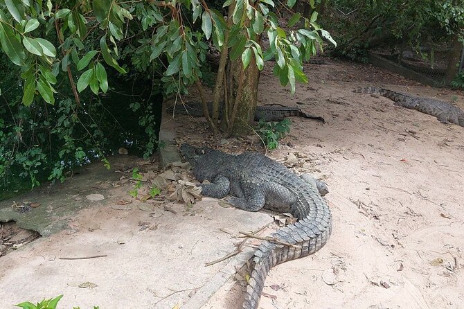 A Day Trip To Phnom Chisor - Tonle Batti From Phnom Penh - The Optional Phnom Tamao Stop