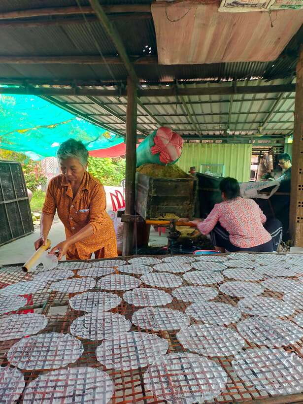 A Day TukTuk Handicrafts Bambootrain Killing&BatCaves,Sunset - The bamboo train through Battambang’s countryside