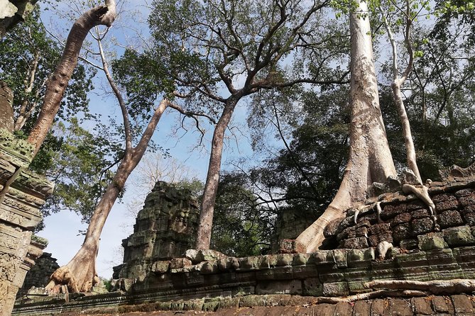 Afternoon Angkor Wat Private Tour with Sunset - Angkor Thom’s South Gate in 30 minutes