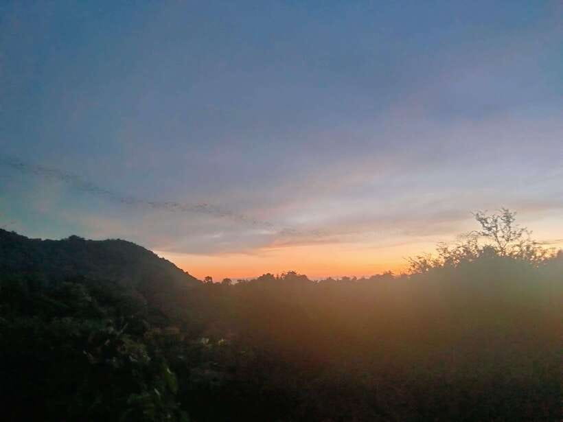 Afternoon Tour: Bamboo Train, Killing Cave &Bat Cave - The road to Phnom Sampov
