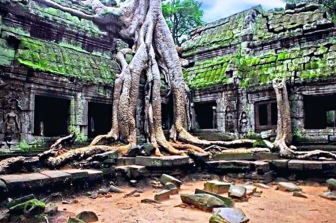 Amazing full day TUKTUK tour - Why a tuk-tuk works so well at Angkor