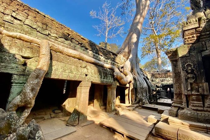 Angkor Cab: Siem Reap 3 day private tour: 'off the beaten track' - Day three: Beng Mealea and the first Khmer capital