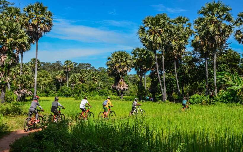 Angkor Jungle Biking Adventure Private Cycling Tour - Ta Prohm and the Tomb Raider effect