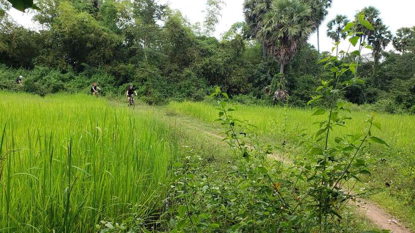 Angkor Jungle Biking Adventure Private Cycling Tour - What the $22 price really covers