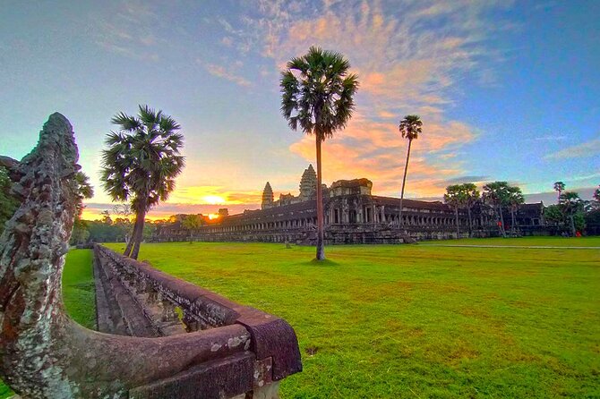 Angkor Sunrise Bike Tour - Breakfast & Lunch included - Ta Prohm and the trees taking back the temple