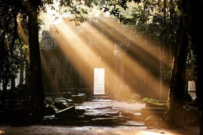 Angkor Sunrise Half-Day Tour with Private Vehicles & Tour Guide - Ta Prohm and the Tomb-Raider atmosphere