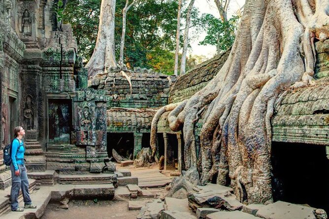 Angkor Sunrise Small Group Tour Inclusive Breakfast and lunch - Angkor Thom, Bayon, and the final temple hours