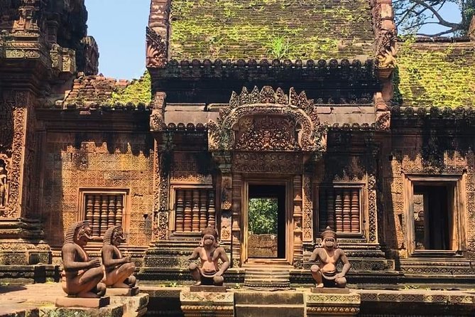 Angkor Temple Sunrise Half Day Tour - Ta Prohm and the ruins made famous by trees