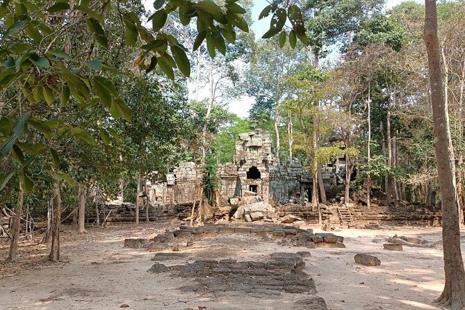 Angkor Temples Highlights: 2-Day Private Tour with Sunrise - Ta Prohm, where trees press into the ruins