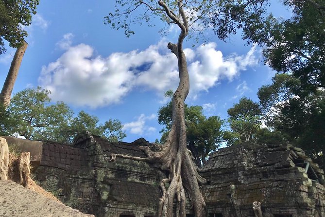 Angkor Temples Highlights: 2-Day Private Tour with Sunrise - Entering Angkor Thom through the South Gate