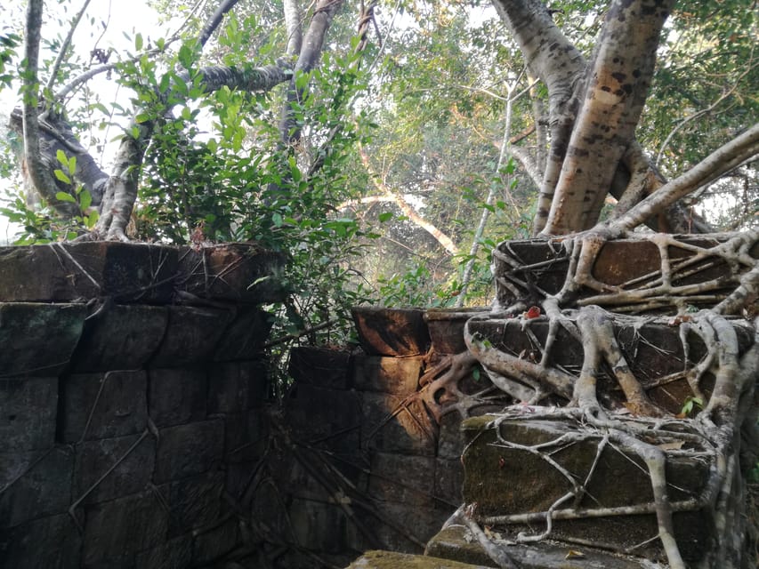 Angkor Temples Highlights Tour: 2 Days with Sunrise - Beng Mealea adds distance and rougher ruins
