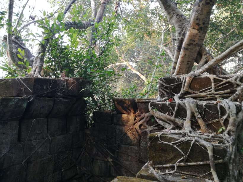 Angkor Temples Highlights Tour: 2 Days with Sunrise - Who will get the most from these two days