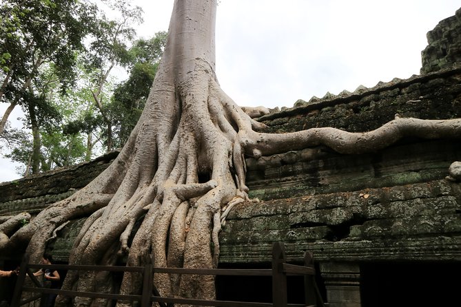 Angkor Temples Private Full-Day Tour from Siem Reap (Free Child) - What the $54 price really covers