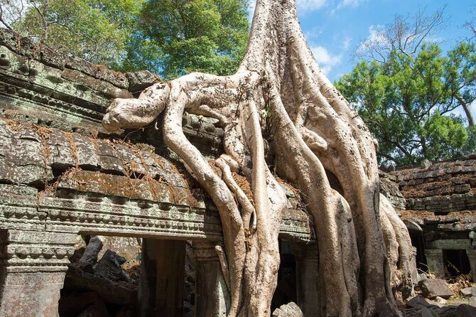 Angkor Thom Ta Prohm and Sunset in Angkor Wat Golden Hour Tour - The final call