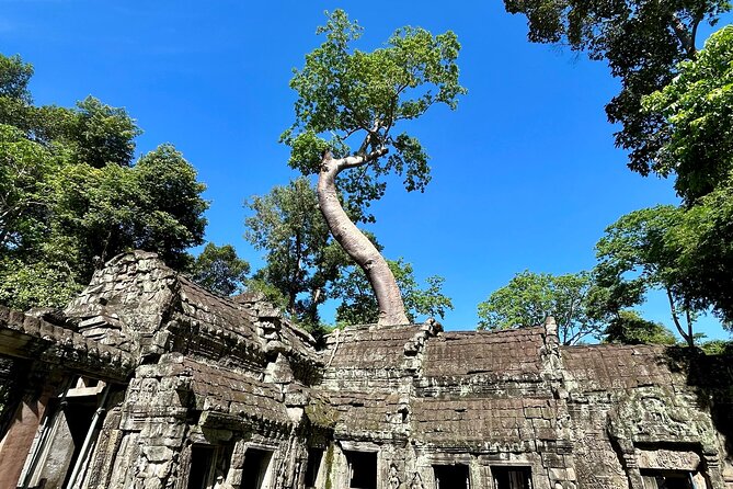 Angkor Wat 1-Day Tour by Private Car or Minivan - Sunrise, sunset, and the right pace