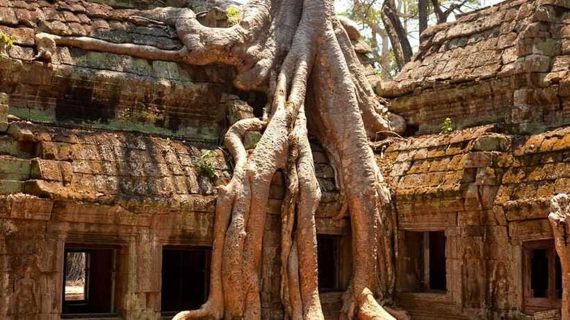 Angkor Wat: 2-Day Sunrise and Floating Village Tour - The mangrove outing and the sunset question