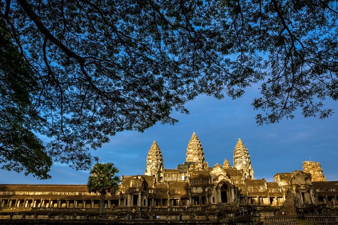 Angkor wat and Small group temples Full day tours - Ta Prohm, where stone meets jungle
