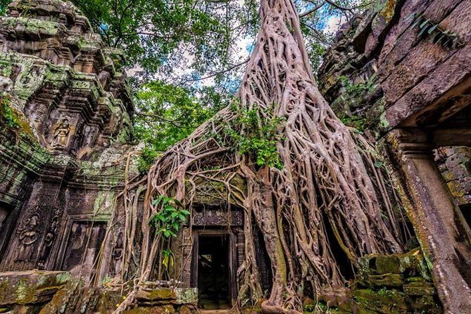 Angkor wat and Small group temples Full day tours - What the guides add